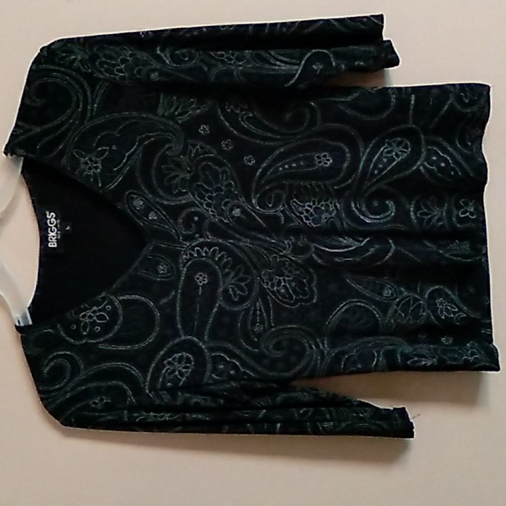Briggs Long Sleeve Dress Blouse